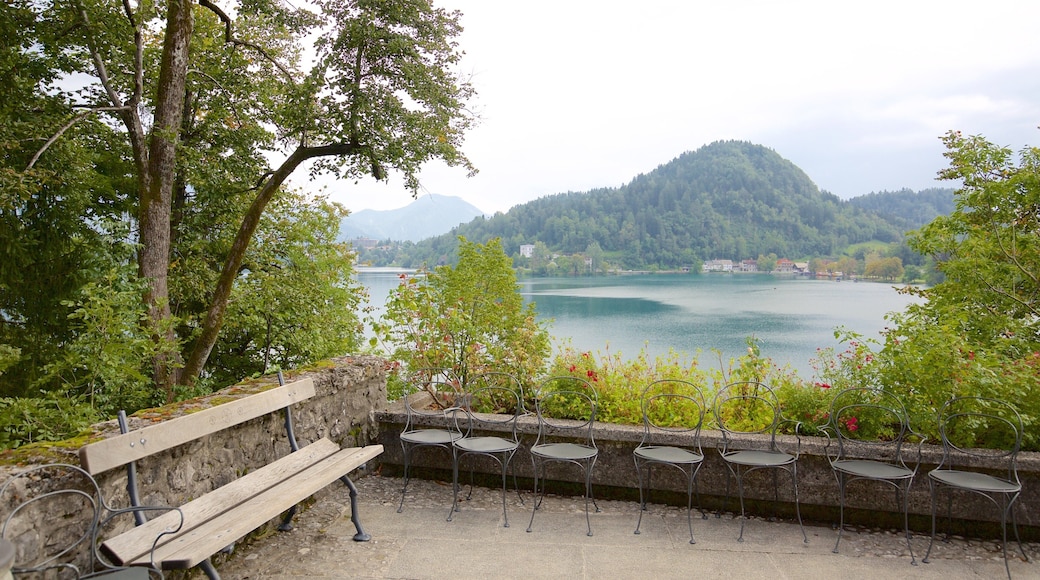 Church of Sv Marika Bozja showing a church or cathedral and a lake or waterhole