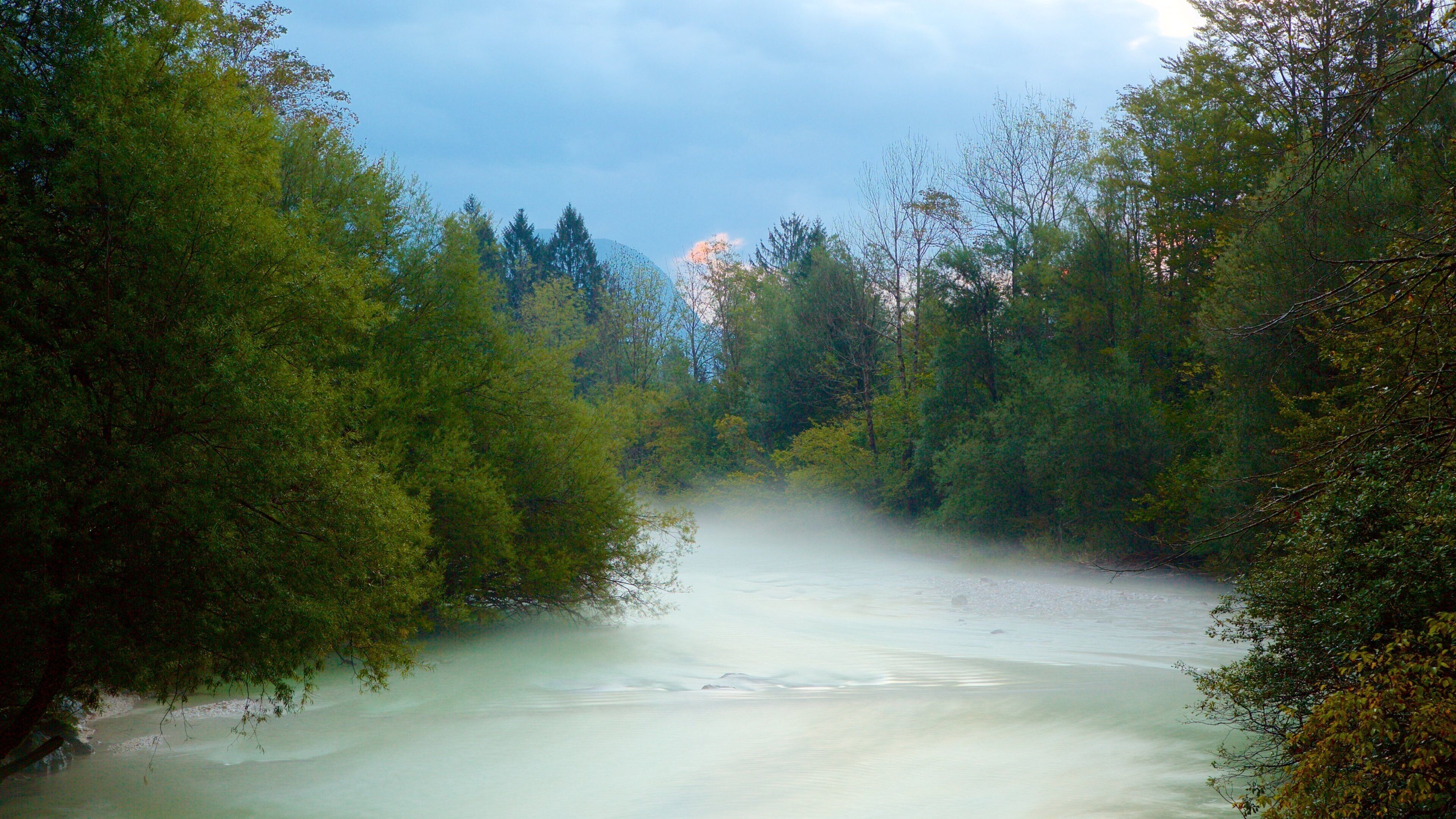 Lac Bohinj mettant en vedette lac ou étang et scènes forestières