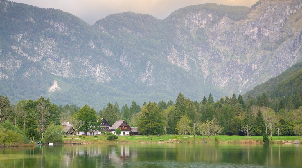 Lake Bohinj which includes mountains, a small town or village and a lake or waterhole