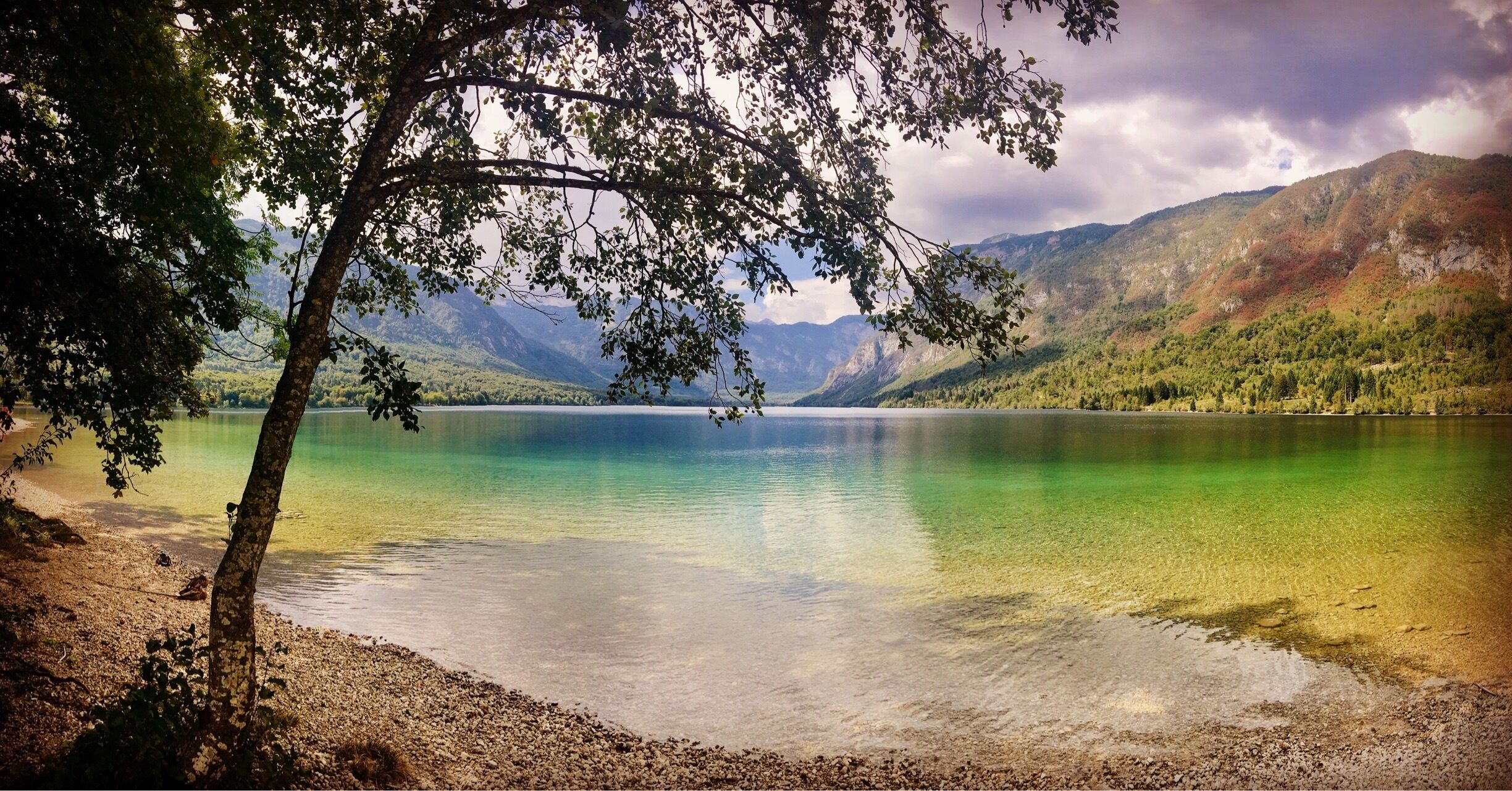 A calm lake surrounded by mountains and trees.