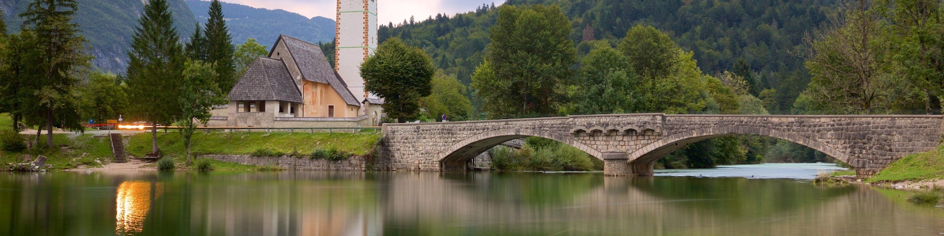 Lake Bohinj which includes a bridge, a lake or waterhole and forests