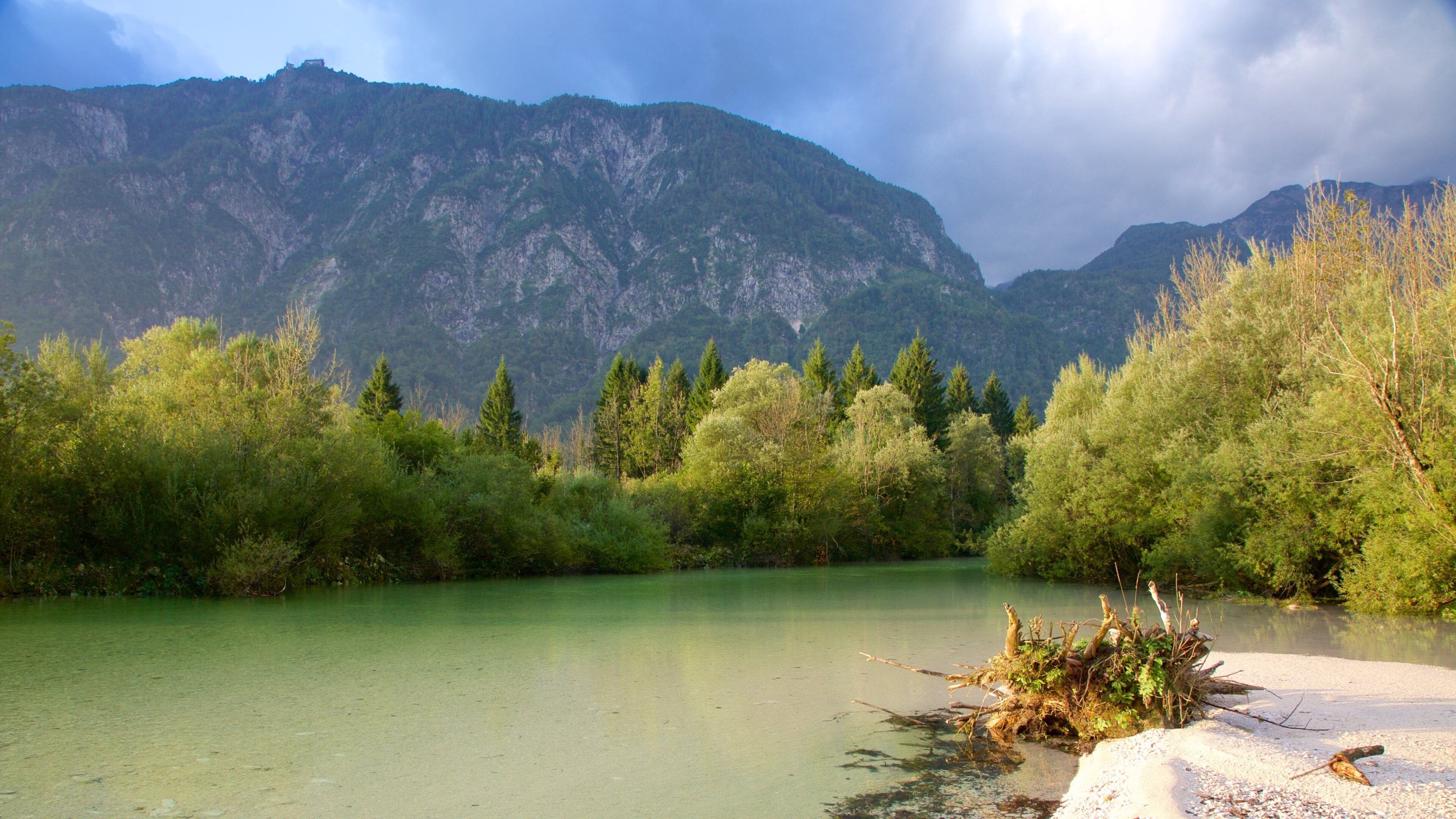 Bohinj-sjøen fasiliteter samt skog, landskap og innsjø