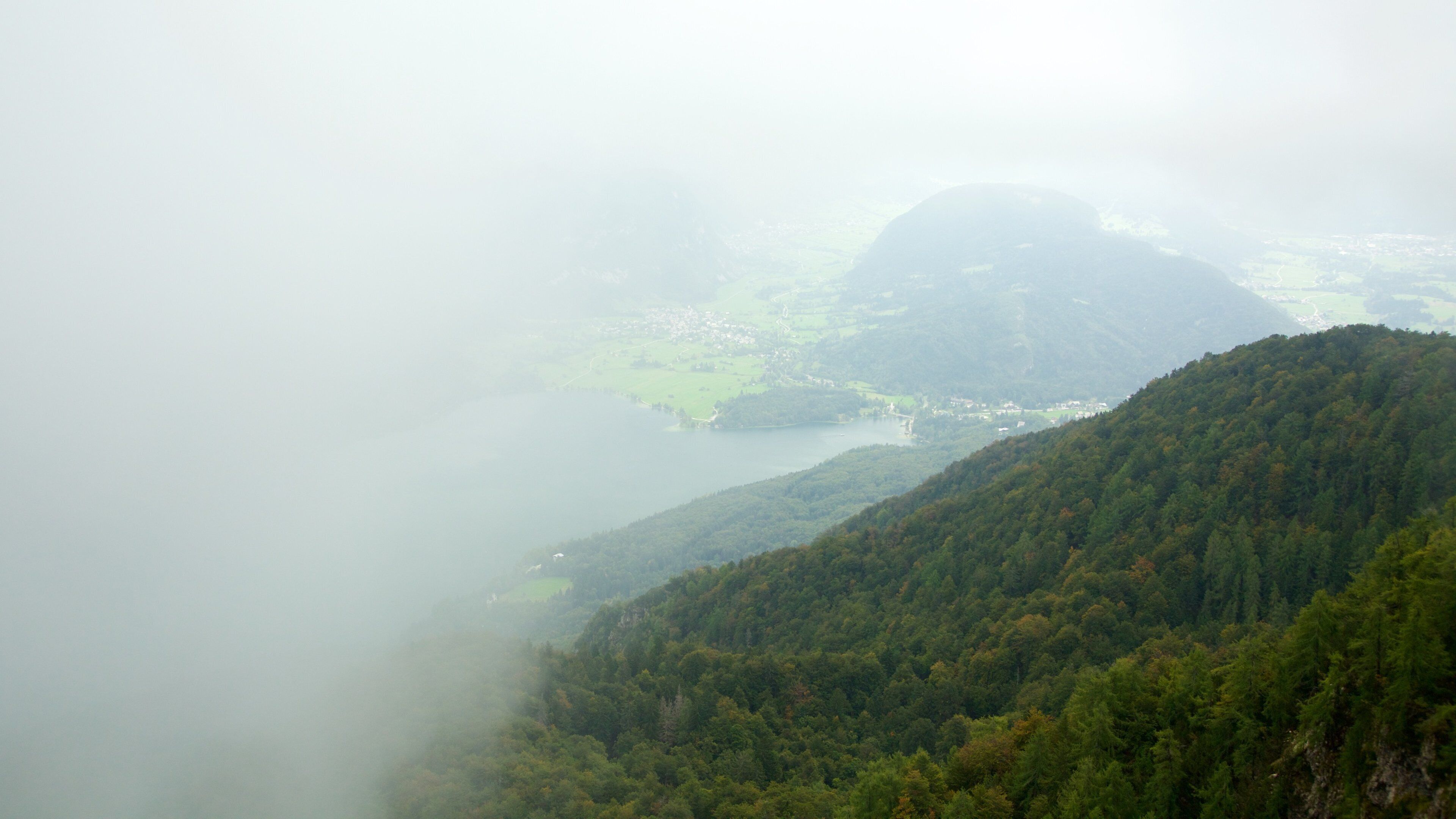Parque Nacional de Tiglav que inclui neblina, florestas e um lago ou charco