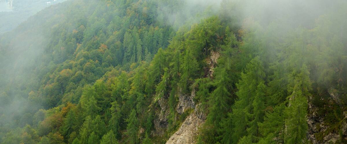 Triglav National Park showing mountains and mist or fog