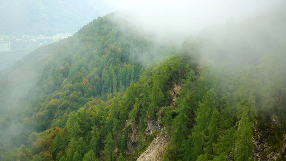 A mountainous landscape with dense green forests and a misty atmosphere.