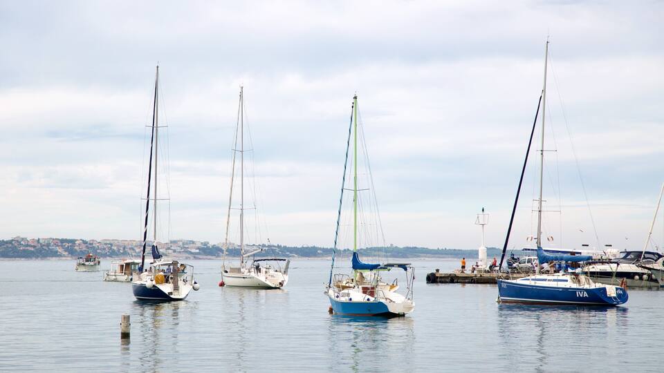 A marina with several sailboats docked.