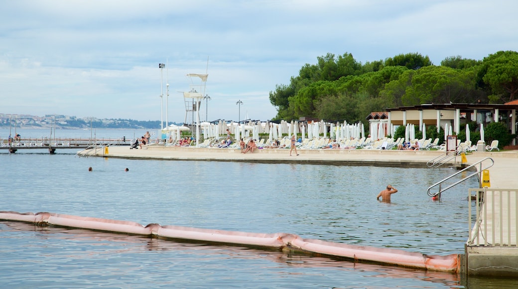 Portoroz Beach featuring swimming, a coastal town and general coastal views