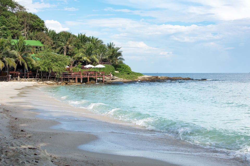 A beach with a wooden pier, palm trees, and a rocky shoreline.