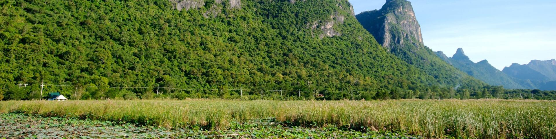 A mountainous landscape with lush green vegetation and a clear blue sky.