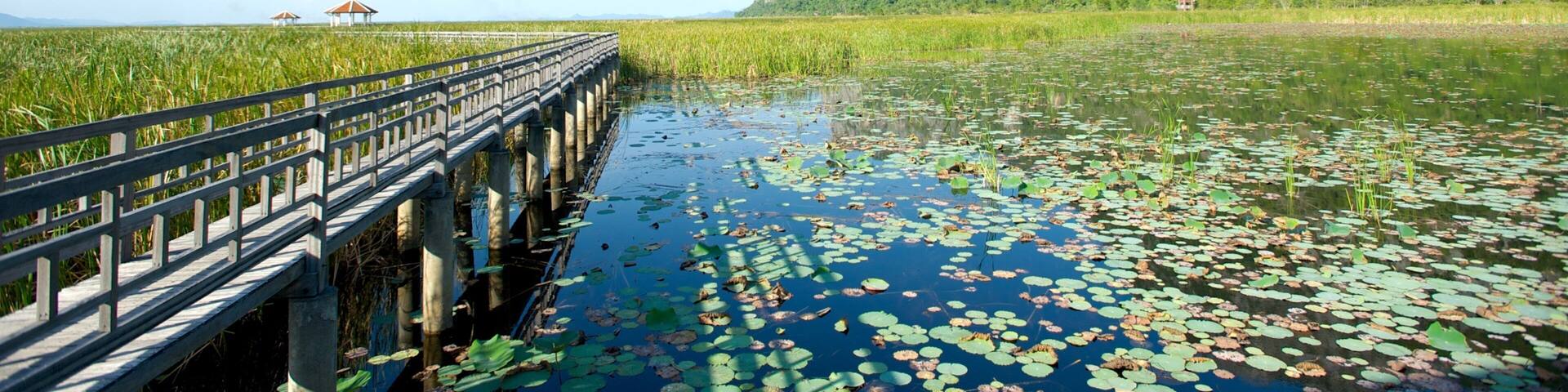 Parc national de Khao Sam Roi Yot montrant panoramas, zone humide et montagnes