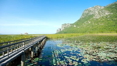 Khao Sam Roi Yot National Park which includes landscape views, mountains and wetlands
