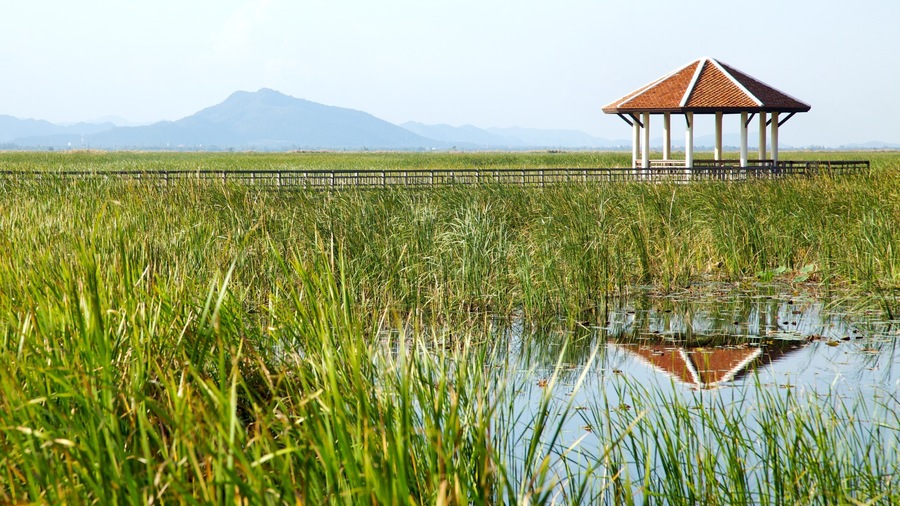 Khao Sam Roi Yot National Park showing landscape views, tranquil scenes and wetlands