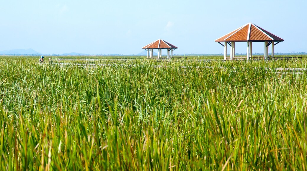 Khao Sam Roi Yot nasjonalpark fasiliteter samt landskap og åkre