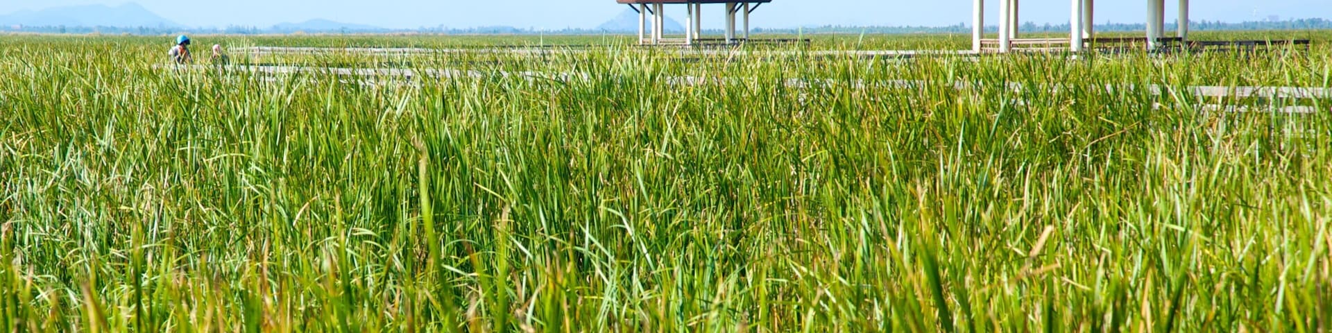 Khao Sam Roi Yot National Park which includes farmland and landscape views