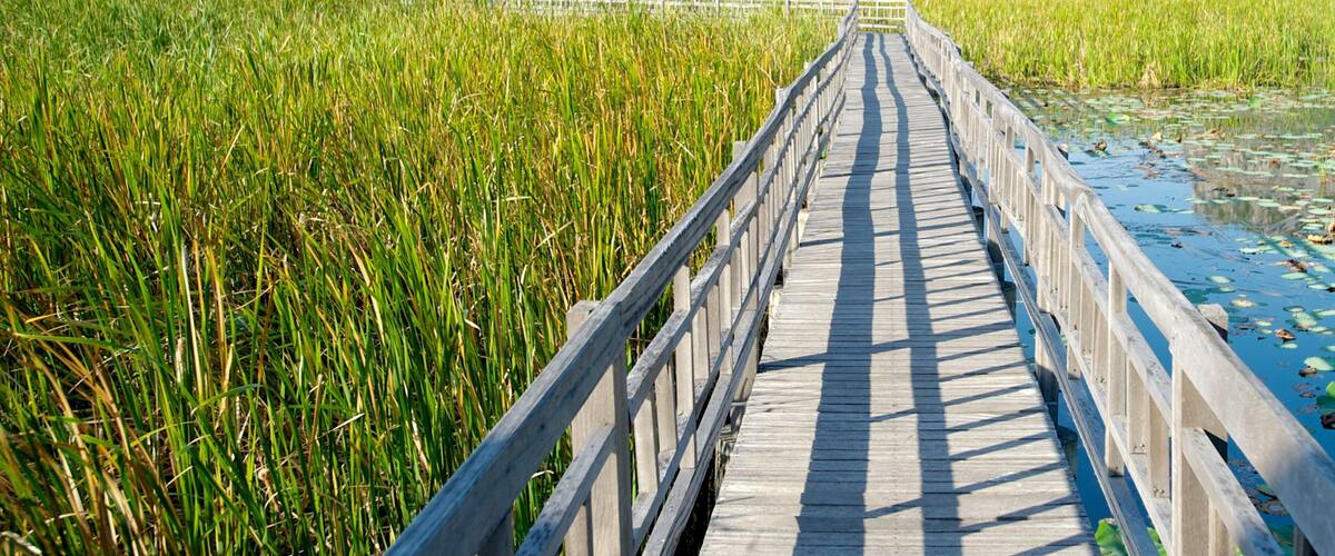 Khao Sam Roi Yot National Park showing a bridge, landscape views and wetlands