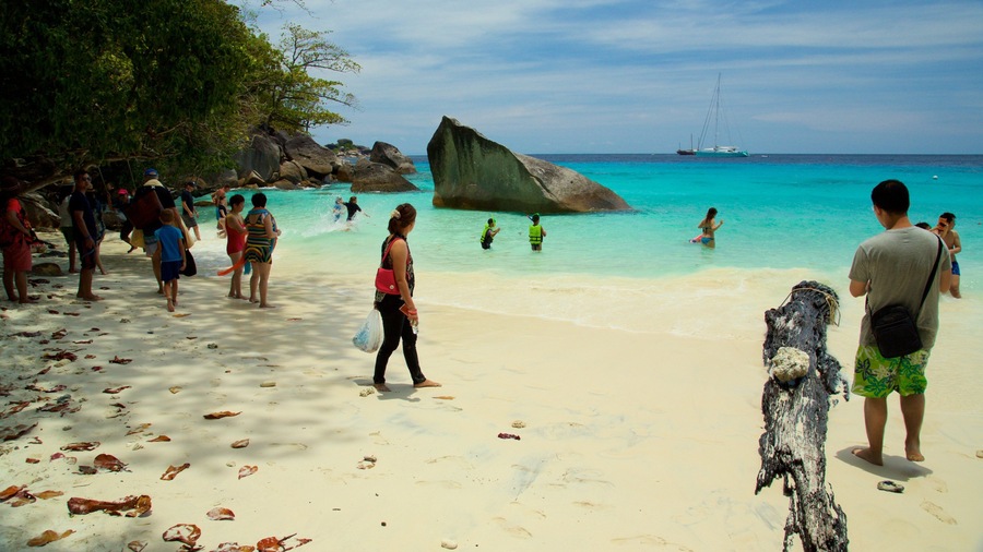 Ko Similan National Park showing a sandy beach as well as a small group of people