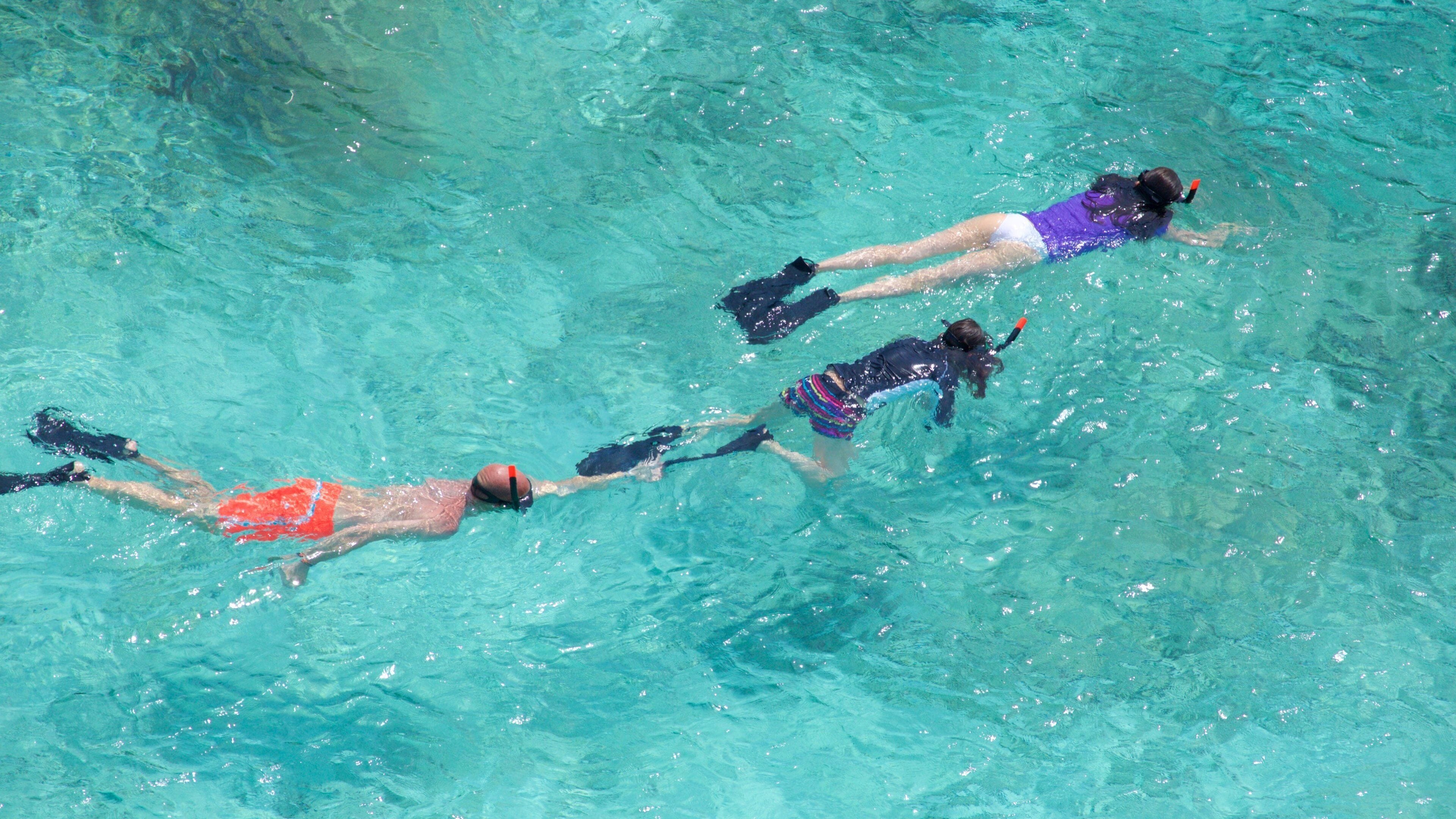 Ko Similan National Park which includes snorkeling as well as a small group of people