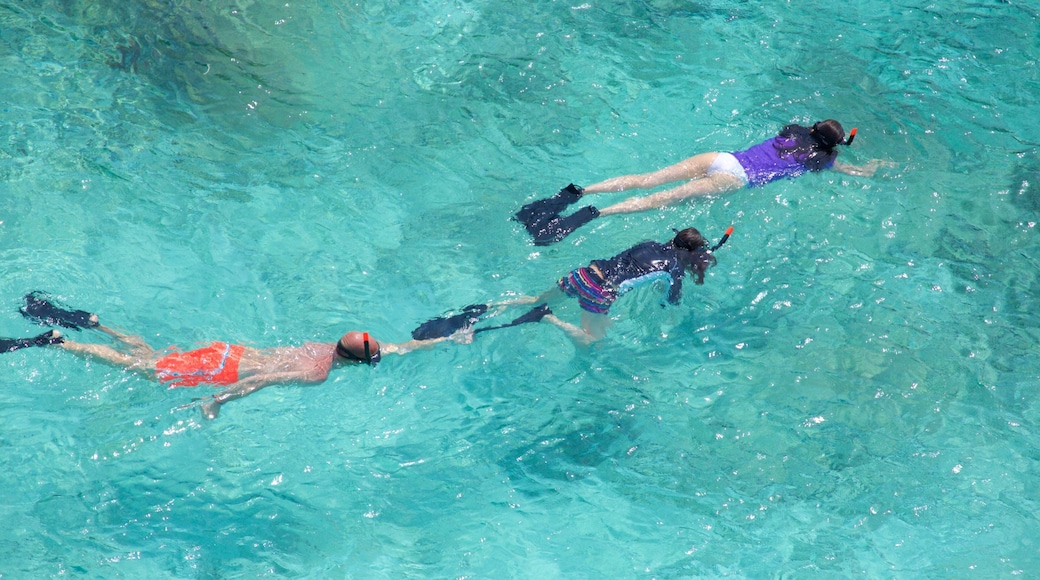 시밀란 군도 국립공원 이 포함 스노클링 뿐만 아니라 소규모 사람들