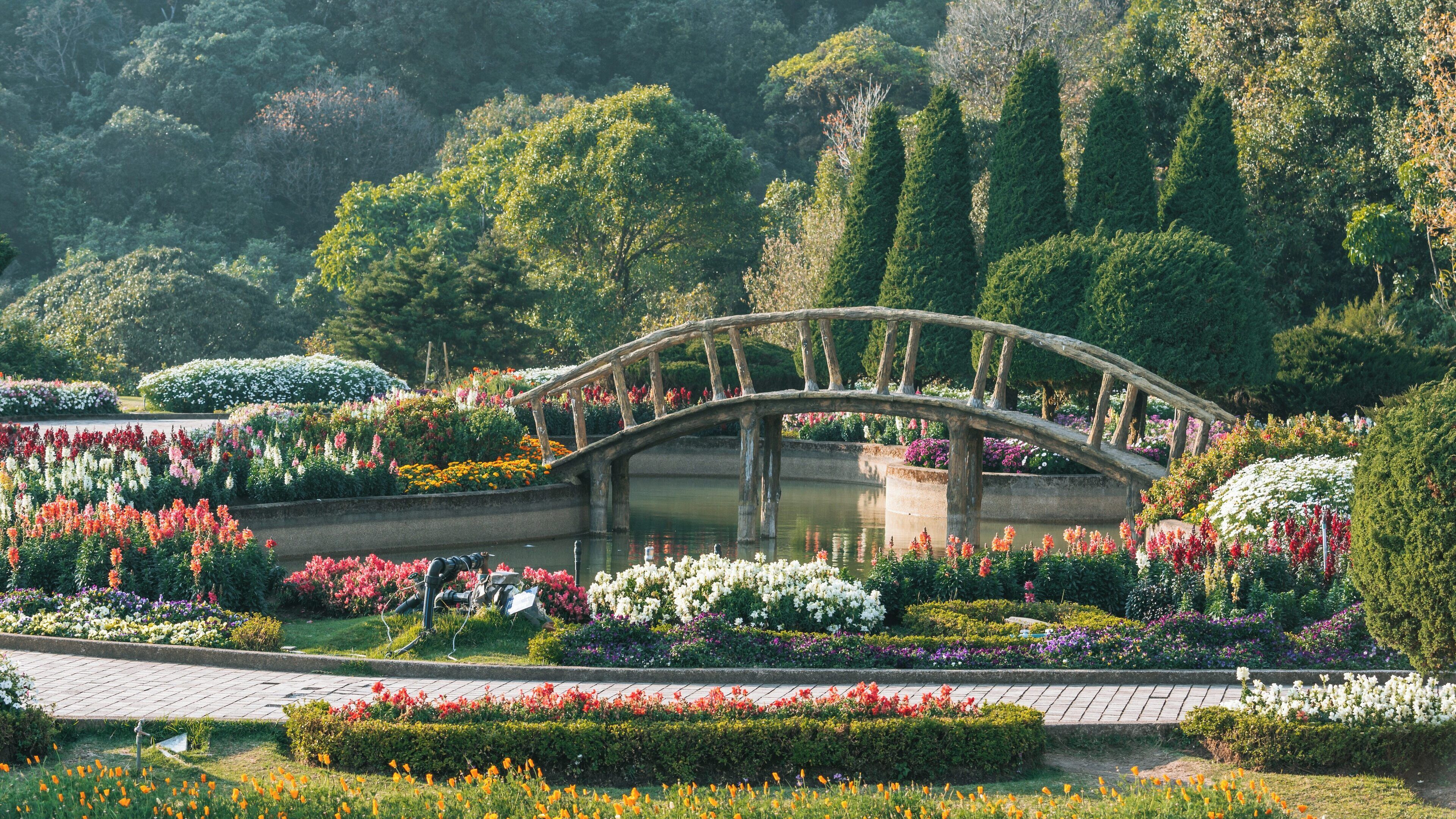 Explore the vibrant gardens and serene bridges of Doi Inthanon National Park in Chiang Mai, Thailand during a peaceful afternoon stroll