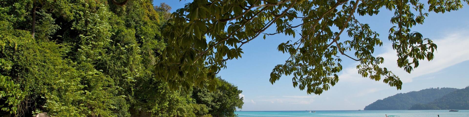 Ko Surin National Park showing boating, a beach and general coastal views