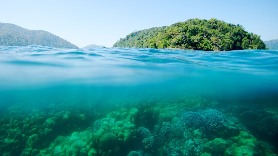 Ko Surin National Park which includes coral and general coastal views