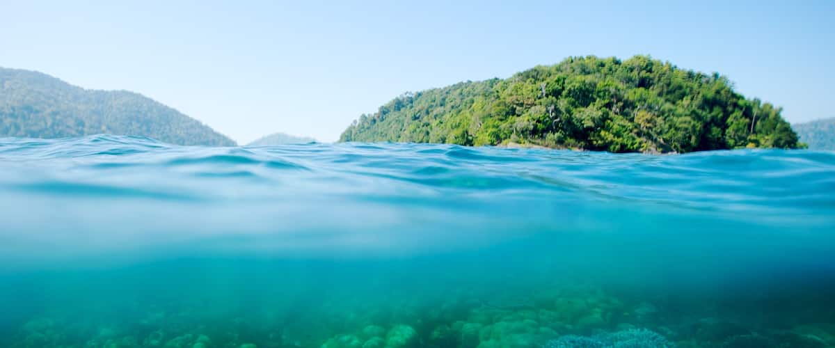 A clear view of a coral reef with a small island in the background.