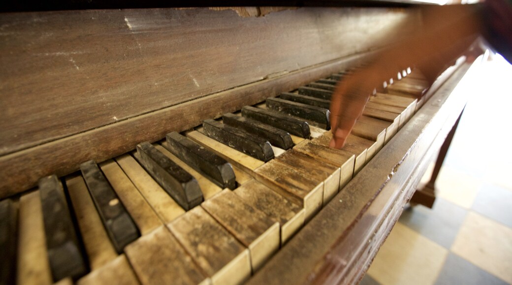 Anglican Cathedral featuring interior views and heritage elements