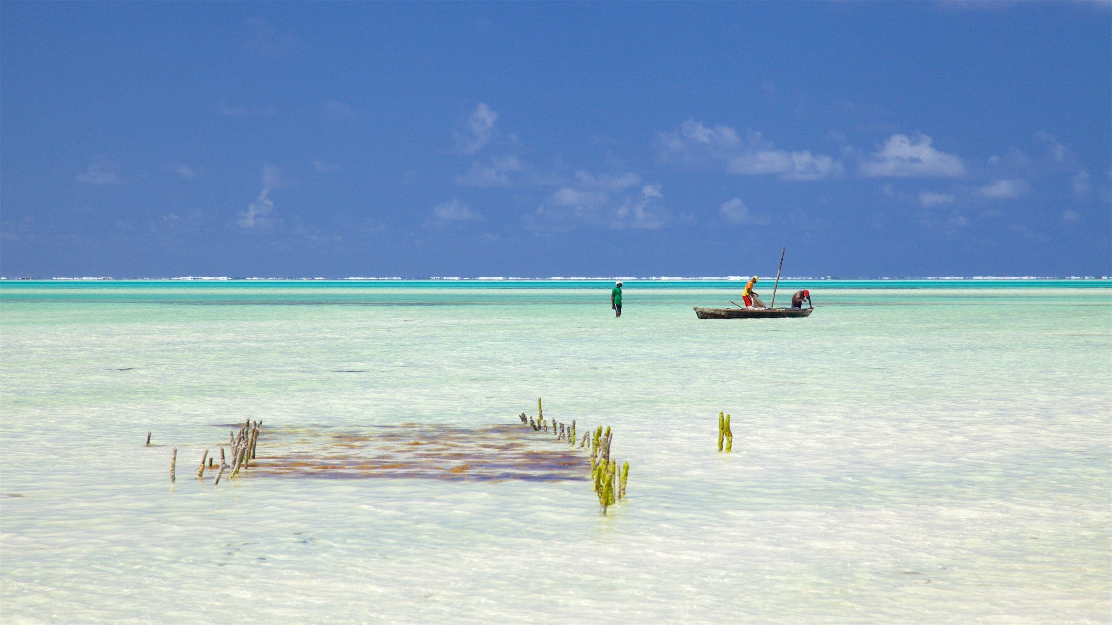 Jambiani Beach showing general coastal views and tropical scenes