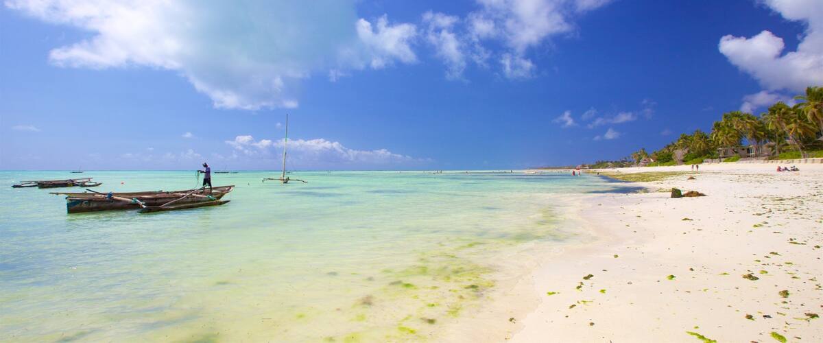 A beach with clear turquoise water, a sandy shore, and palm trees.