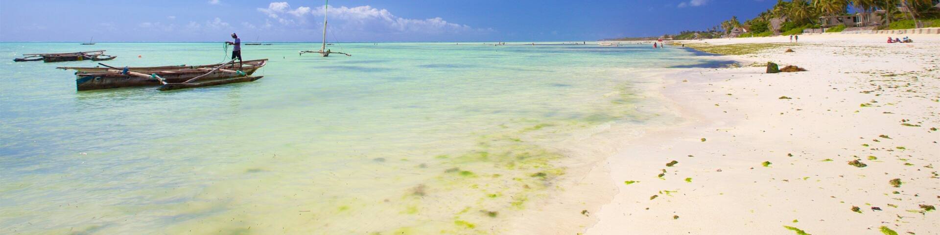 A beach with clear turquoise water, a sandy shore, and palm trees.