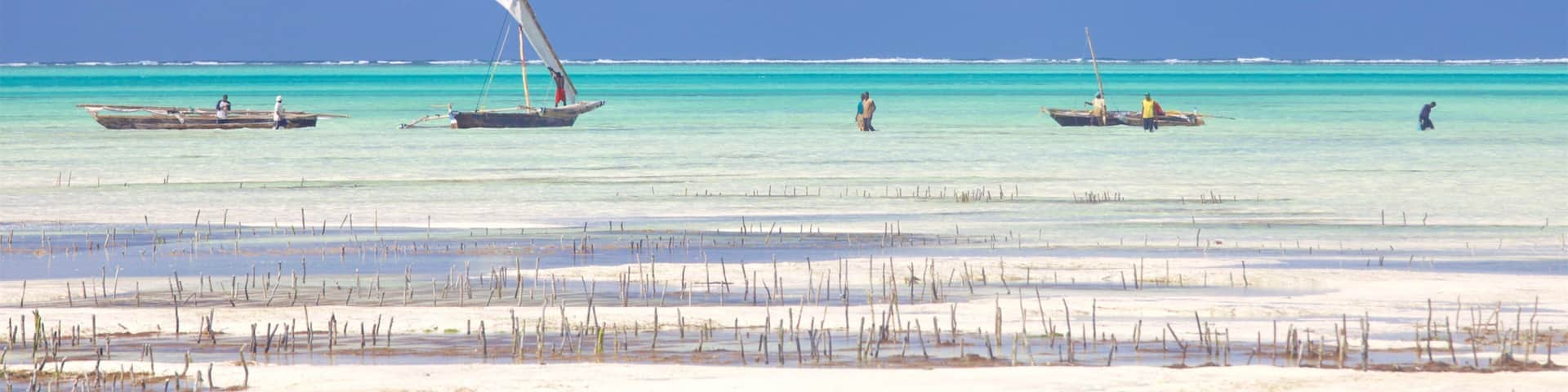 A beach with clear turquoise waters, several small boats, and a sandy shoreline with sparse vegetation.