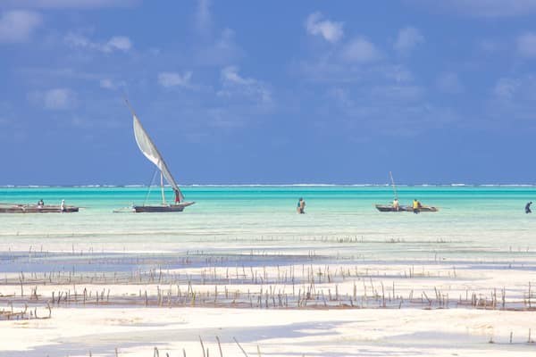 A beach with clear turquoise waters, several small boats, and a sandy shoreline with sparse vegetation.