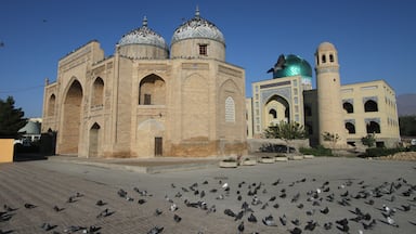 Un edificio histórico con cúpulas y un minarete, rodeado de palomas.