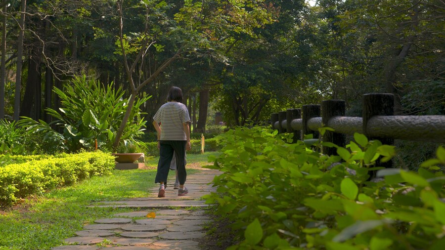 Hsinchu Botanical Garden qui includes jardin