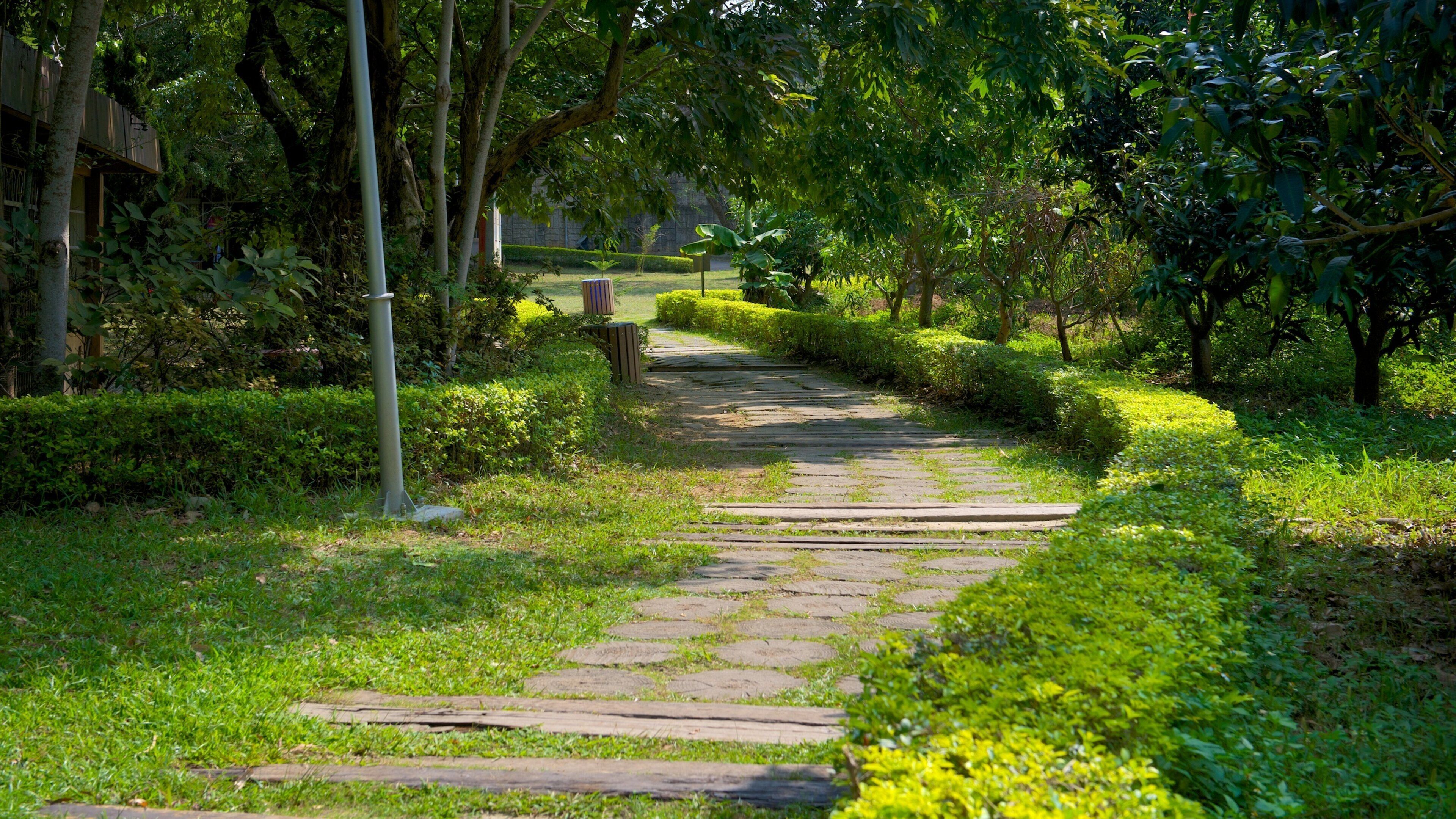 Jardim Botânico de Hsinchu mostrando um jardim