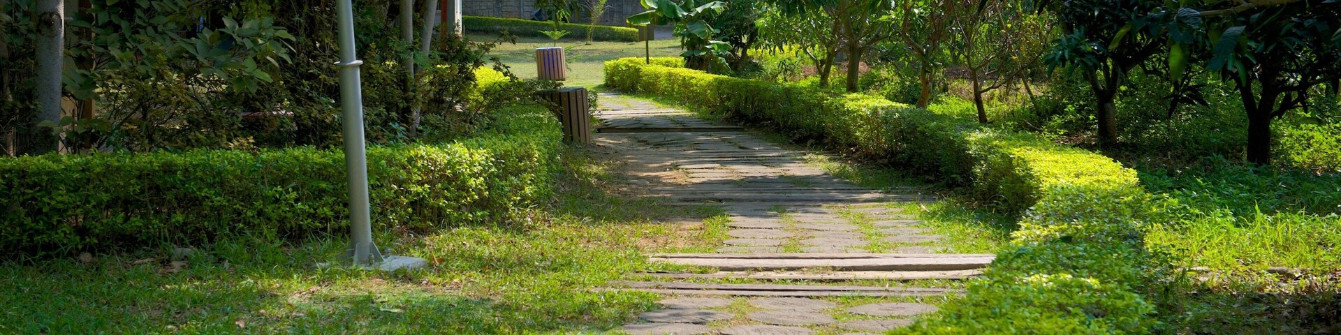 Jardín Botánico de Hsinchu mostrando un parque
