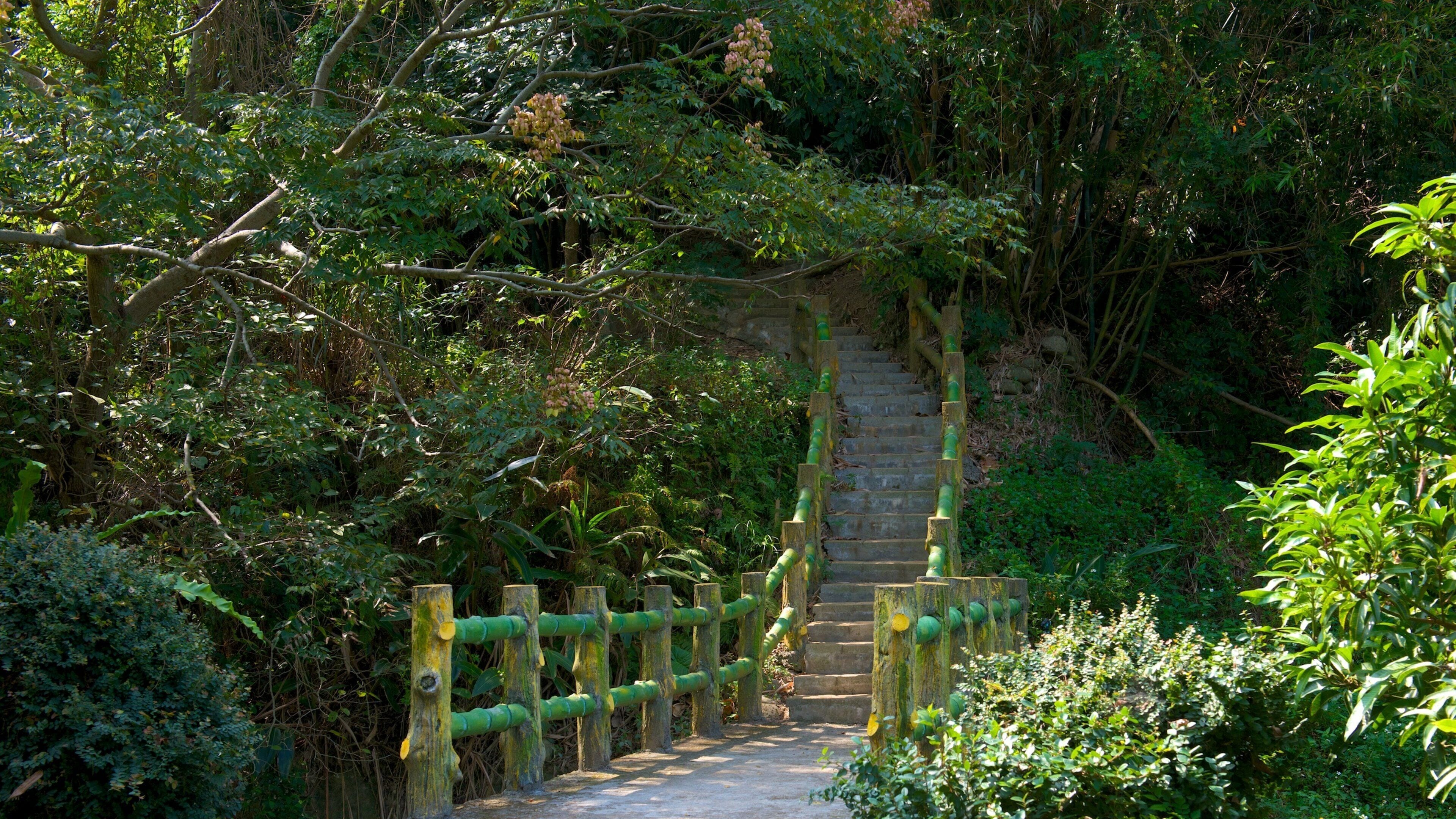 Hsinchu Botanical Garden bevat een park