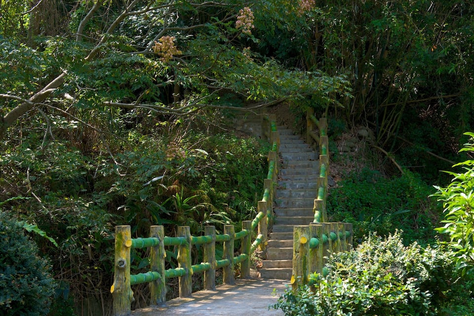 A stone staircase surrounded by lush greenery and a wooden fence with green pipes.