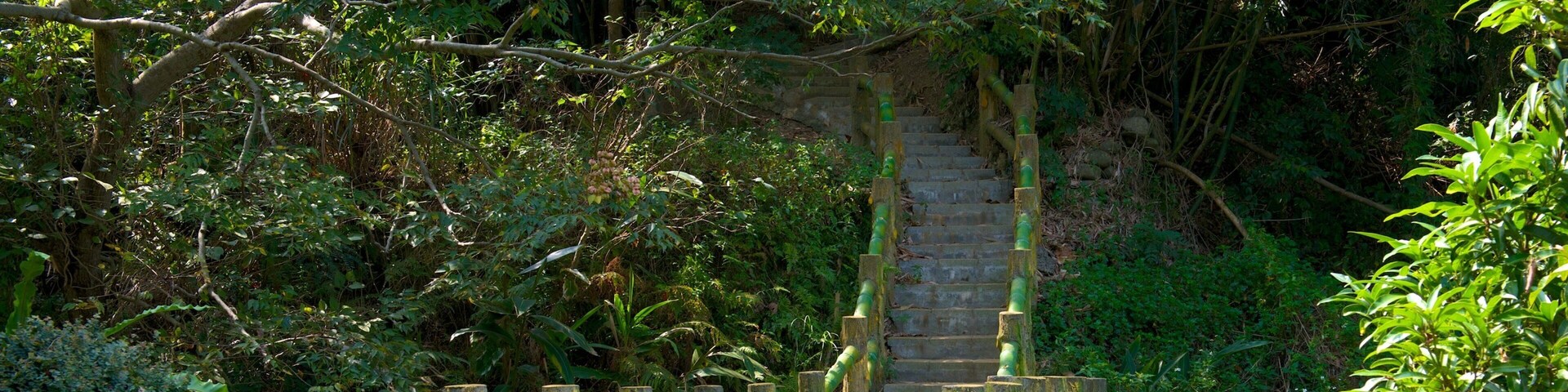 Hsinchu Botanical Garden featuring a park