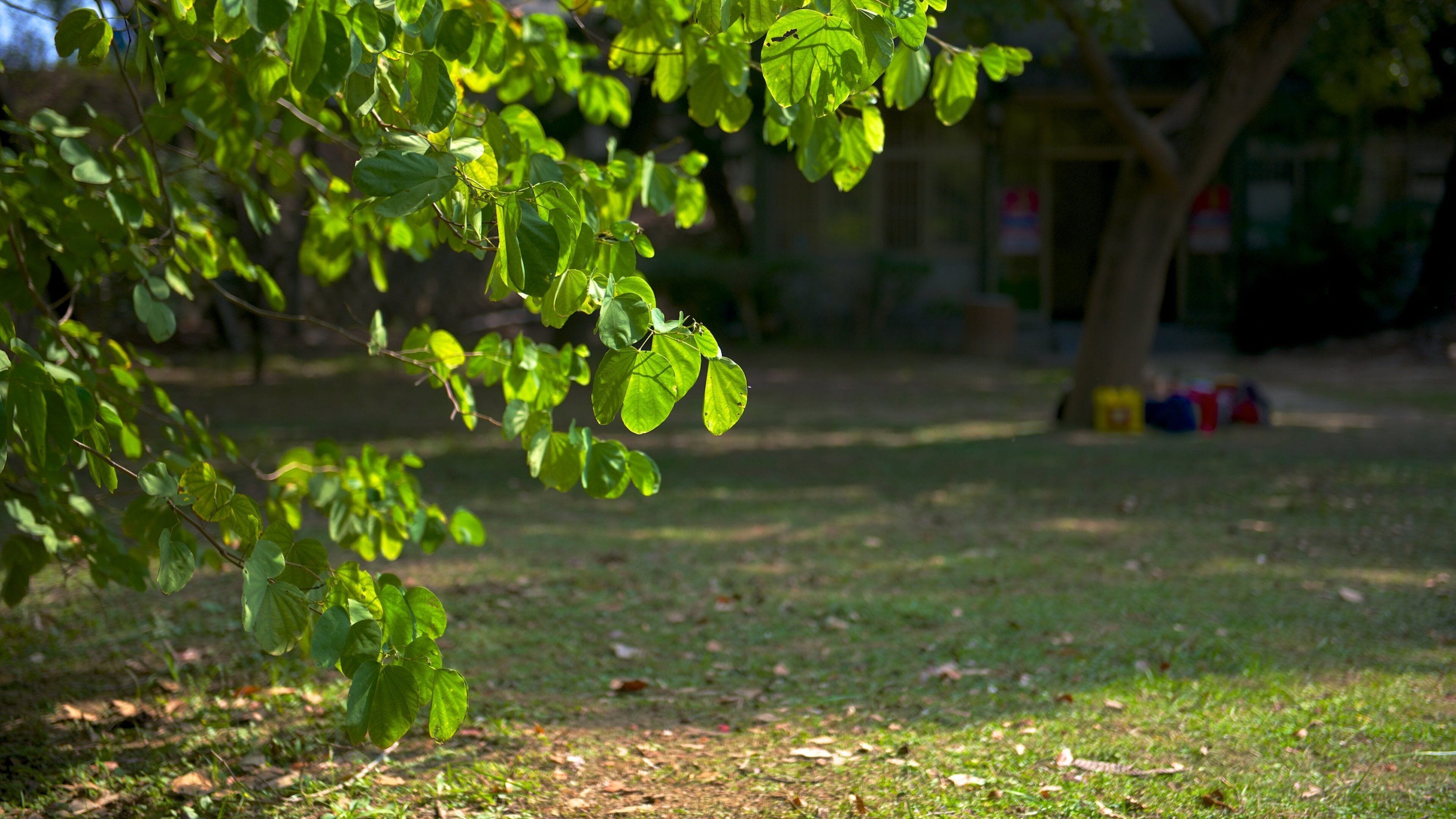 Hsinchu Botanical Garden