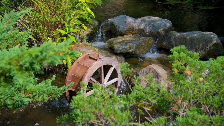 Hsinchu Botaniske Have som viser en have og en dam