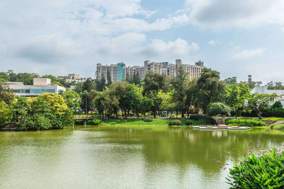 Un parc amb un estany, arbres i un paisatge urbà al fons.