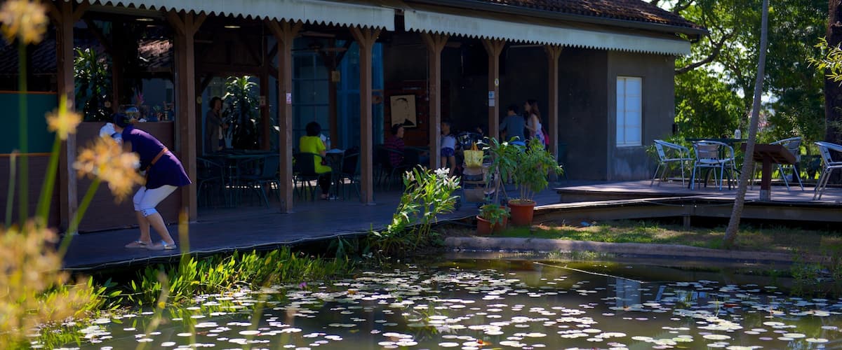 Pine Garden featuring a pond