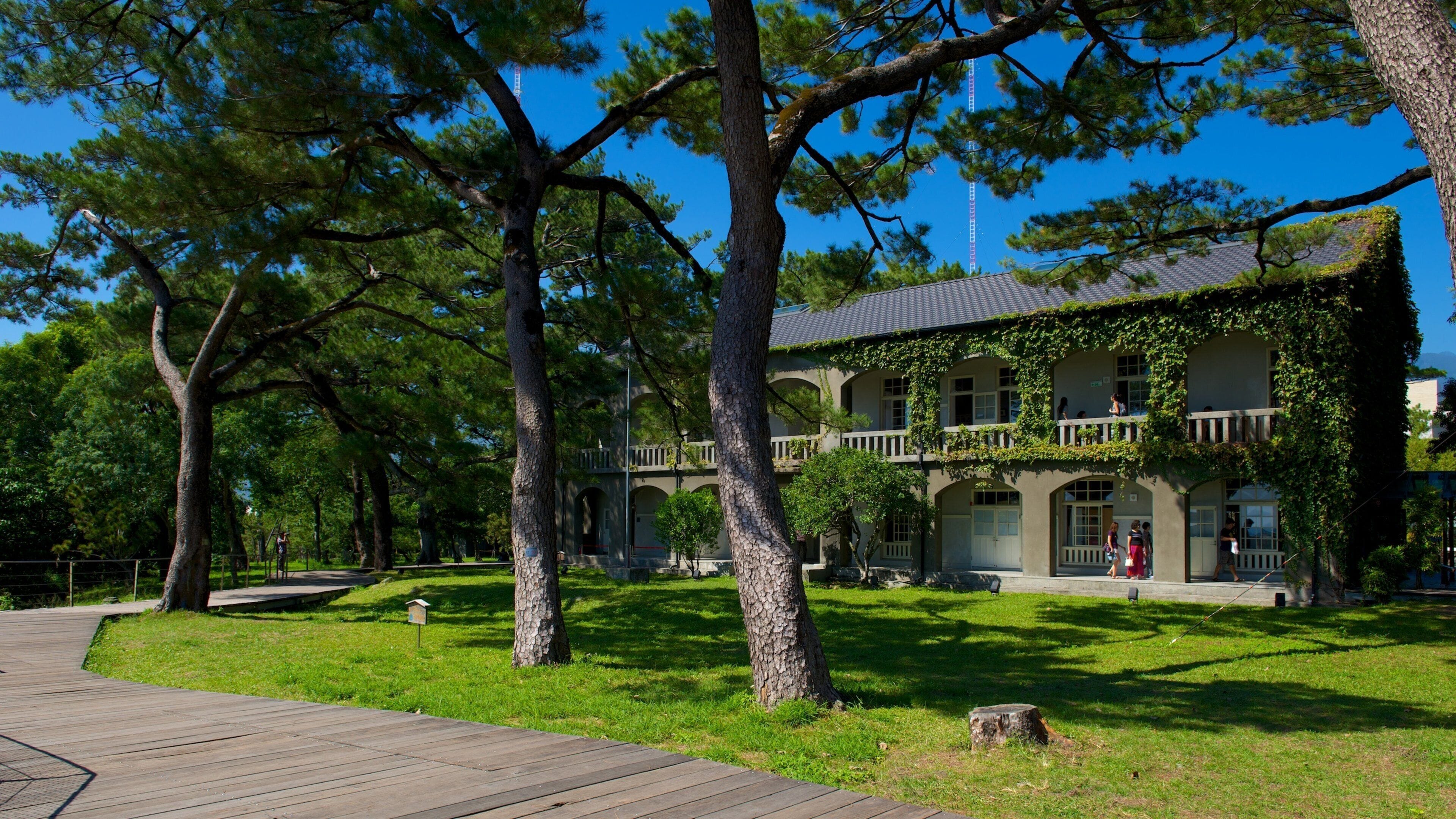 Pine Garden which includes a garden