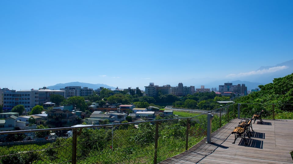 Jardim dos Pinhais mostrando paisagens e uma cidade