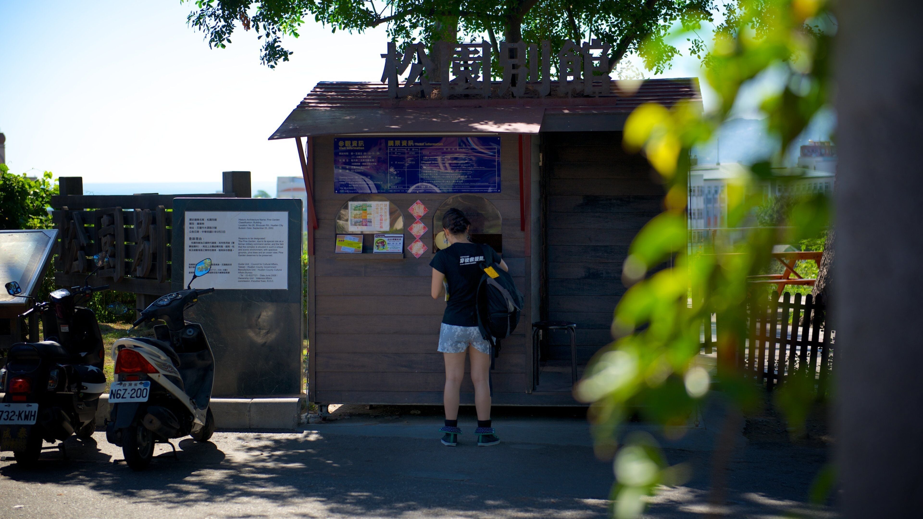Jardín de pinos y también una mujer