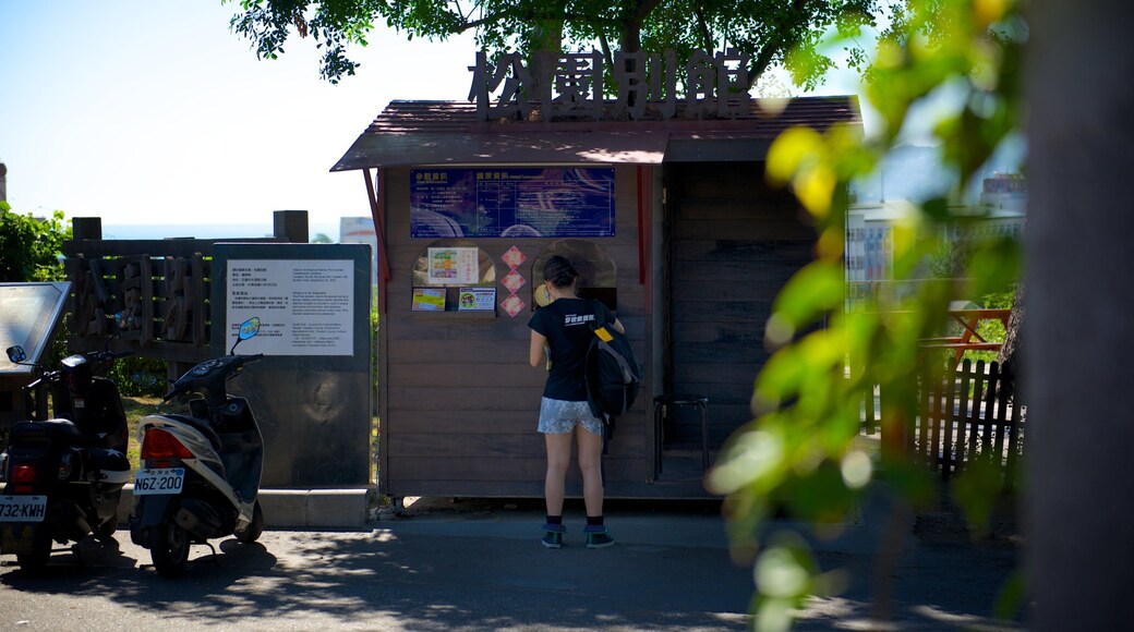 Jardín de pinos y también una mujer