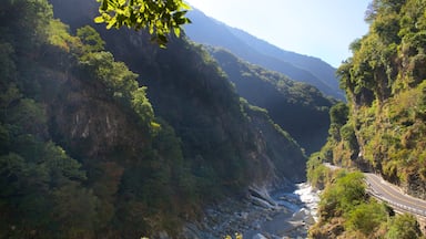 Un camino sinuoso que atraviesa un valle montañoso, con vegetación densa y terreno rocoso.