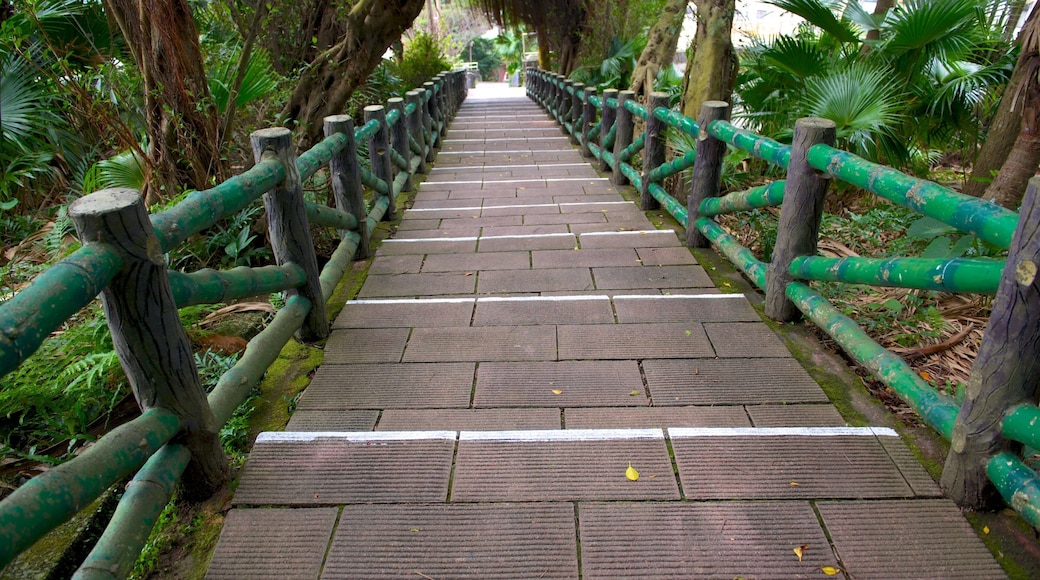 Shihciouling Fort showing a park