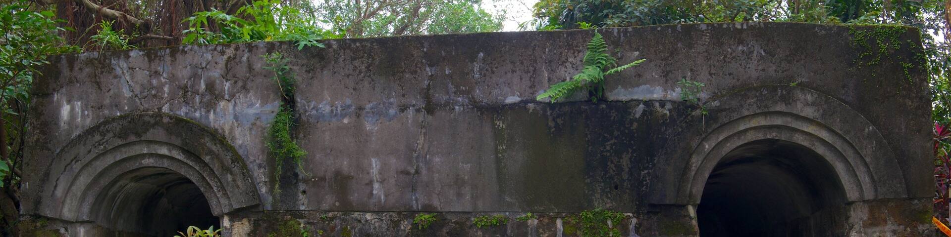 An old stone structure with two arched entrances, overgrown with vegetation.